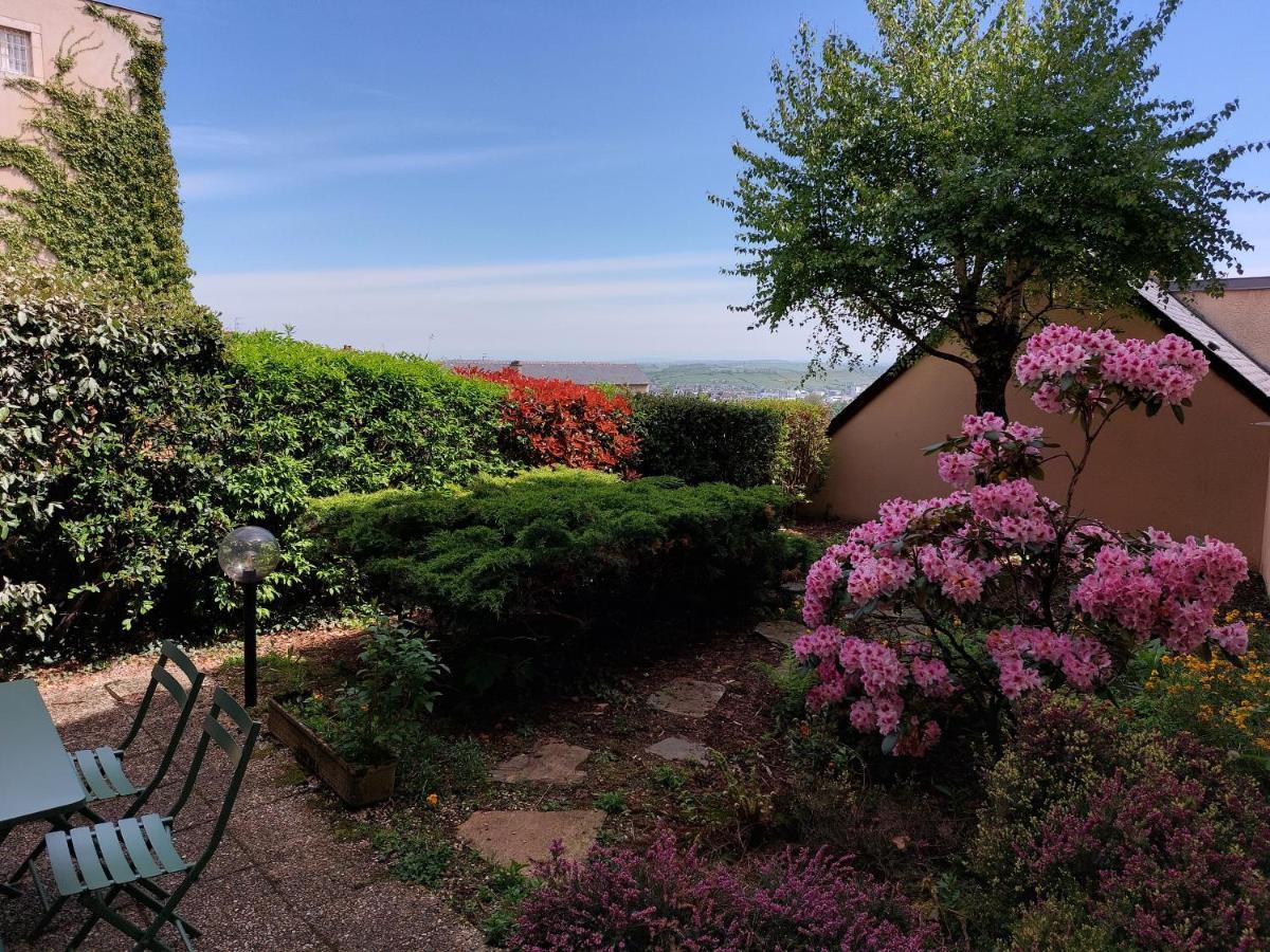 Le Denyspuech 55M2 Plein Centre Avec Jardin! Apartment Rodez Exterior foto